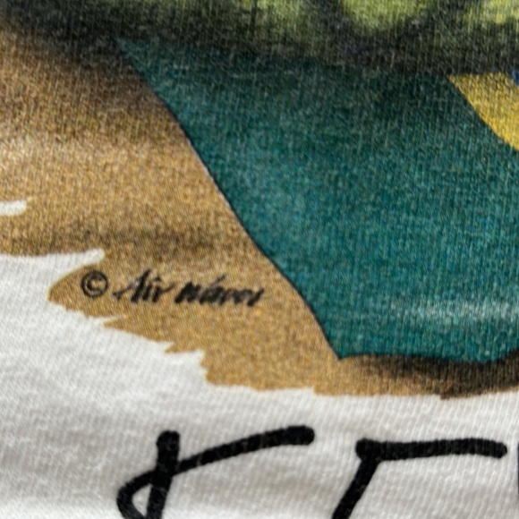 Vintage Key West Air waves Tee Stedman by Hanes XL tropical vacation 90s iguana - Picture 3 of 11
